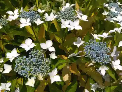 新知恩院(滋賀県)