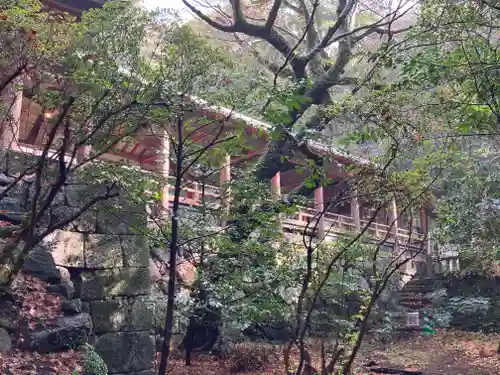 柞原八幡宮(大分県)