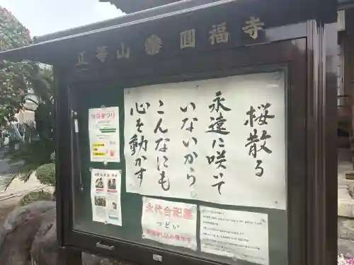 正等山 円福寺の{uncategorized: "未分類", other: "その他", undefined: "問題あり", building: "その他建物", grave: "お墓", sacred_gate: "鳥居", guardian: "狛犬", statue: "像", buddha: "仏像", history: "歴史", nature: "自然", garden: "庭園", animal: "動物", pagoda: "塔", temizu: "手水舎", mountain_gate: "山門・神門", sanctuary: "本殿・本堂", subordinate: "末社・摂社", art: "芸術", scenery: "景色", jizo: "地蔵", ema: "絵馬", goshuin: "御朱印", omikuji: "おみくじ", items: "授与品その他", amulet: "お守り", goshuincho: "御朱印帳", eats: "食事", festival: "お祭り", votive_dance: "神楽", shichigosan: "七五三参", wedding: "結婚式", experience: "体験その他", initially: "初詣", around: "周辺", anti_infection: "感染症対策"}