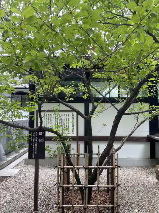 加納天満宮(岐阜県)