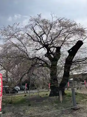 歓喜寺(茨城県)