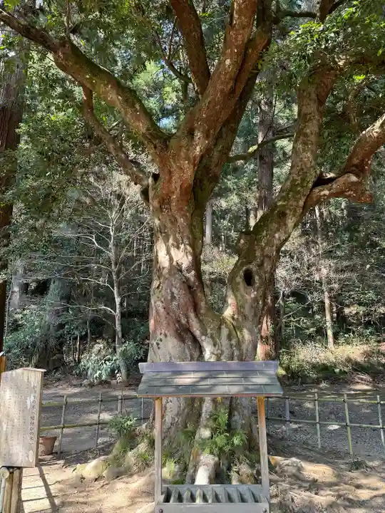 小國神社(静岡県)