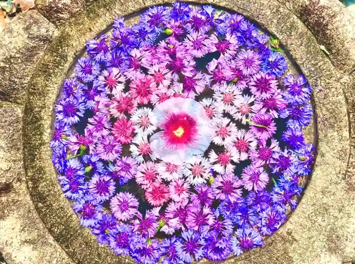 埼玉厄除け開運大師・龍泉寺(切り絵御朱印発祥の寺)の手水舎