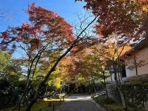 二尊院(京都府)