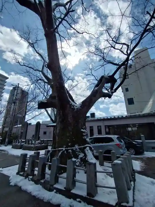 阿邪訶根神社(福島県)