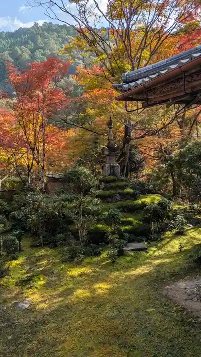 西明寺(京都府)