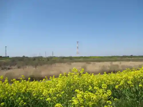 東金野井須賀神社(千葉県)