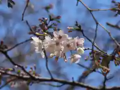 前原御嶽神社(千葉県)