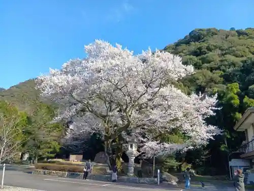 岐阜護國神社(岐阜県)