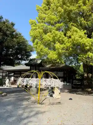 秩父神社のおみくじ