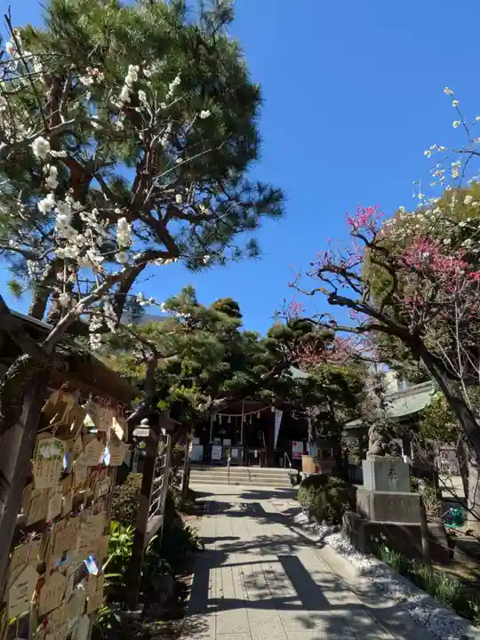 鳩森八幡神社(東京都)