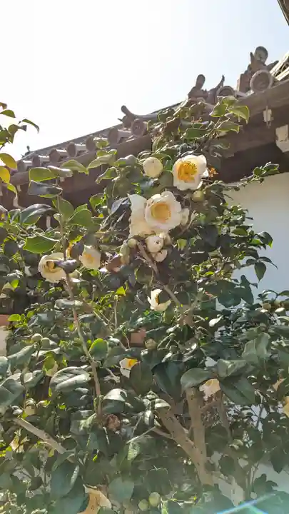 浄安寺(京都府)