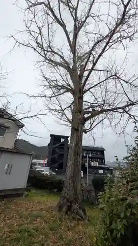 伊達神社（余部鎮座）(京都府)
