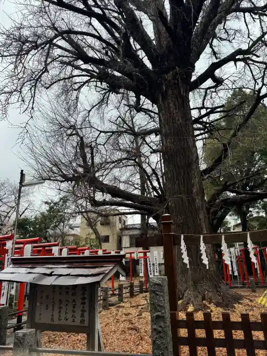 鬼子母神堂 (法明寺)の{uncategorized: "未分類", other: "その他", undefined: "問題あり", building: "その他建物", grave: "お墓", sacred_gate: "鳥居", guardian: "狛犬", statue: "像", buddha: "仏像", history: "歴史", nature: "自然", garden: "庭園", animal: "動物", pagoda: "塔", temizu: "手水舎", mountain_gate: "山門・神門", sanctuary: "本殿・本堂", subordinate: "末社・摂社", art: "芸術", scenery: "景色", jizo: "地蔵", ema: "絵馬", goshuin: "御朱印", omikuji: "おみくじ", items: "授与品その他", amulet: "お守り", goshuincho: "御朱印帳", eats: "食事", festival: "お祭り", votive_dance: "神楽", shichigosan: "七五三参", wedding: "結婚式", experience: "体験その他", initially: "初詣", around: "周辺", anti_infection: "感染症対策"}