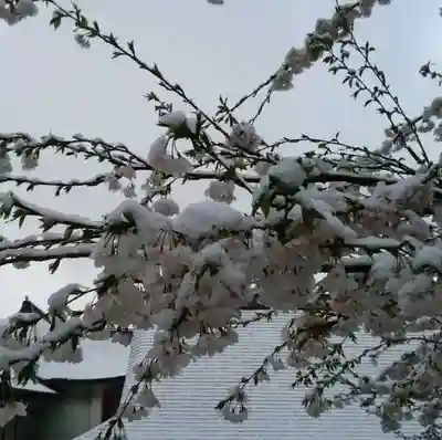 白狐山光星寺(山形県)