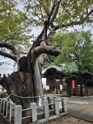 阿邪訶根神社(福島県)