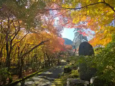 長安寺(京都府)