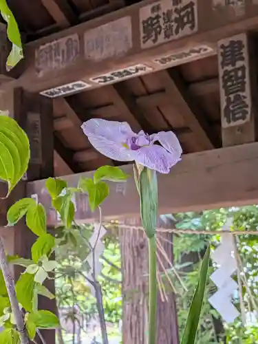 赤坂氷川神社(東京都)