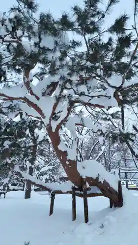 当別神社の自然