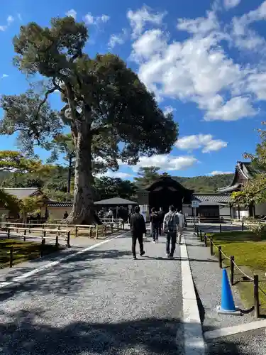 鹿苑寺（金閣寺）(京都府)