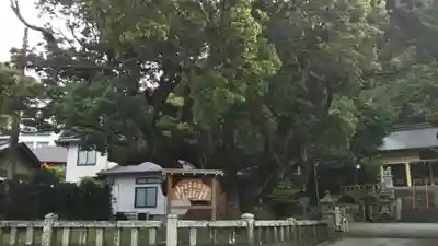土肥神社のその他建物