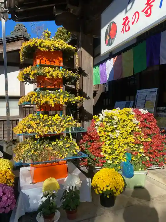 一乗院(身代不動尊) (茨城県)