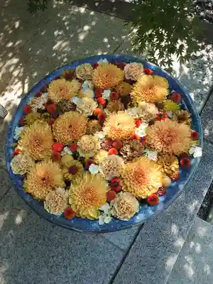 行田八幡神社(埼玉県)