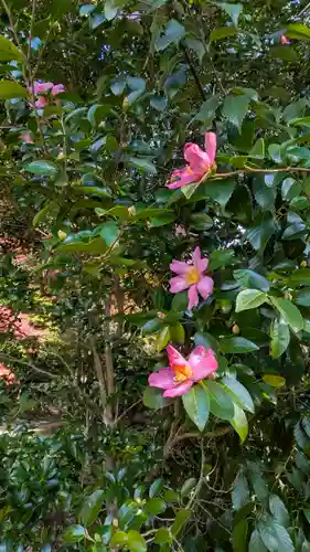 神護寺(京都府)