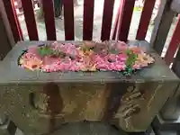 松尾神社(新潟県)