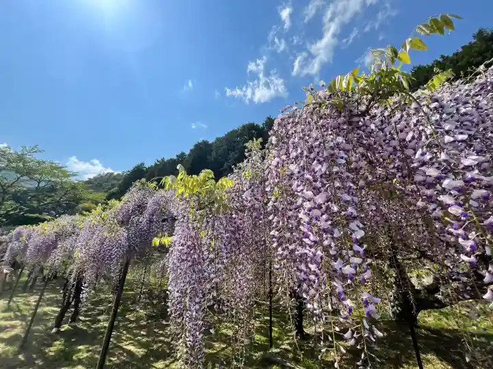 天台宗 五大山 白毫寺(兵庫県)