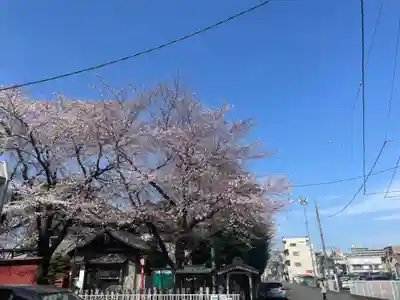 村富神社(神奈川県)