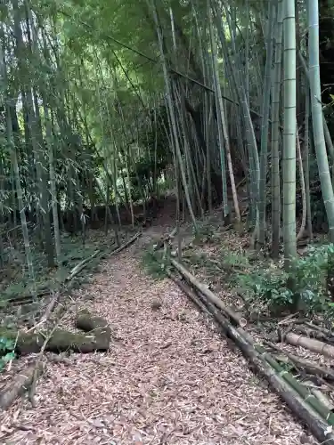 八幡神社(岐阜県)