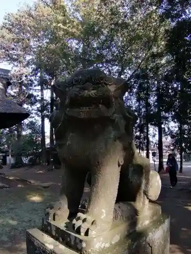 國王神社の狛犬