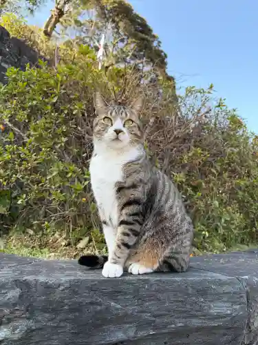 王子神社の{uncategorized: "未分類", other: "その他", undefined: "問題あり", building: "その他建物", grave: "お墓", sacred_gate: "鳥居", guardian: "狛犬", statue: "像", buddha: "仏像", history: "歴史", nature: "自然", garden: "庭園", animal: "動物", pagoda: "塔", temizu: "手水舎", mountain_gate: "山門・神門", sanctuary: "本殿・本堂", subordinate: "末社・摂社", art: "芸術", scenery: "景色", jizo: "地蔵", ema: "絵馬", goshuin: "御朱印", omikuji: "おみくじ", items: "授与品その他", amulet: "お守り", goshuincho: "御朱印帳", eats: "食事", festival: "お祭り", votive_dance: "神楽", shichigosan: "七五三参", wedding: "結婚式", experience: "体験その他", initially: "初詣", around: "周辺", anti_infection: "感染症対策"}
