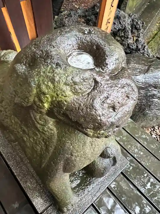 川越氷川神社(埼玉県)