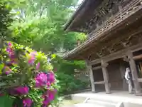 英勝寺の山門・神門