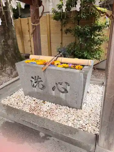 蛇窪神社の{uncategorized: "未分類", other: "その他", undefined: "問題あり", building: "その他建物", grave: "お墓", sacred_gate: "鳥居", guardian: "狛犬", statue: "像", buddha: "仏像", history: "歴史", nature: "自然", garden: "庭園", animal: "動物", pagoda: "塔", temizu: "手水舎", mountain_gate: "山門・神門", sanctuary: "本殿・本堂", subordinate: "末社・摂社", art: "芸術", scenery: "景色", jizo: "地蔵", ema: "絵馬", goshuin: "御朱印", omikuji: "おみくじ", items: "授与品その他", amulet: "お守り", goshuincho: "御朱印帳", eats: "食事", festival: "お祭り", votive_dance: "神楽", shichigosan: "七五三参", wedding: "結婚式", experience: "体験その他", initially: "初詣", around: "周辺", anti_infection: "感染症対策"}