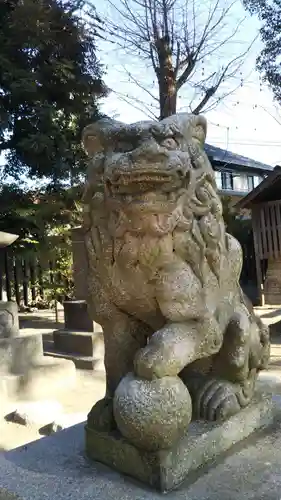 葛飾八幡宮の狛犬
