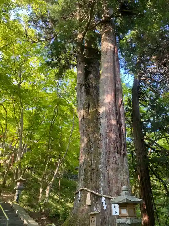 談山神社(奈良県)