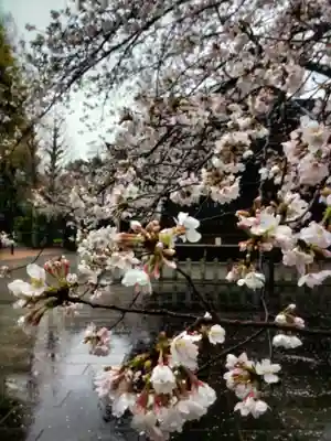 熊野神社(東京都)