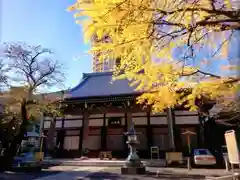 善福寺(東京都)