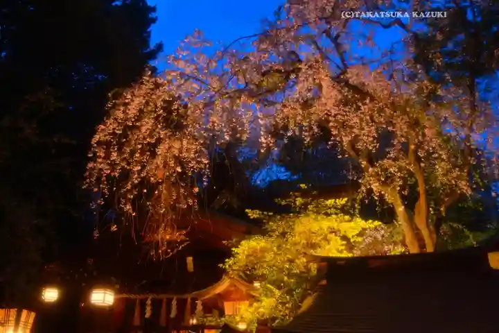 子安神社(東京都)
