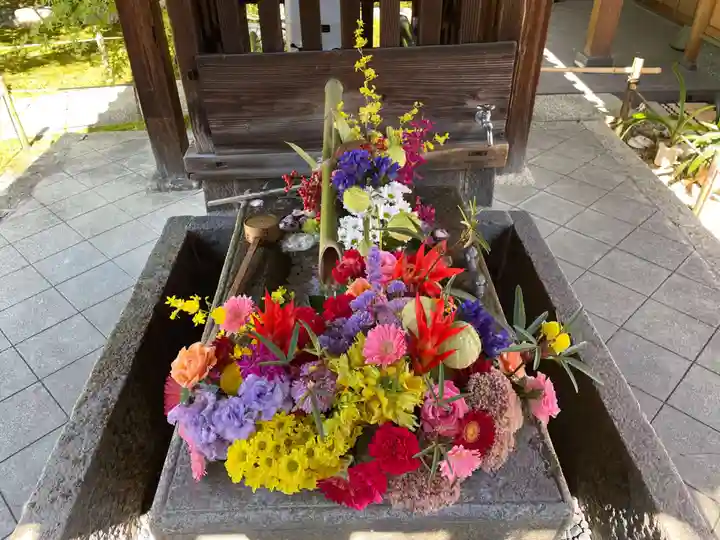 勝林寺(京都府)