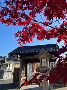 總社 和田八幡宮(福井県)(2023年11月26日(日) 15時56分12秒投稿)