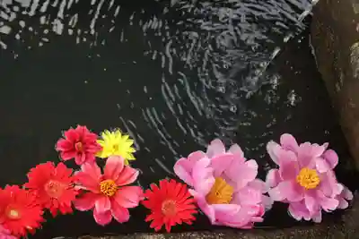 大鏑神社の手水舎