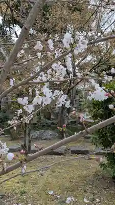 欣浄寺(京都府)