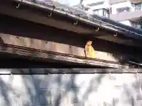 大海神社(住吉大社摂社)(大阪府)