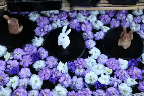 阿邪訶根神社の手水舎