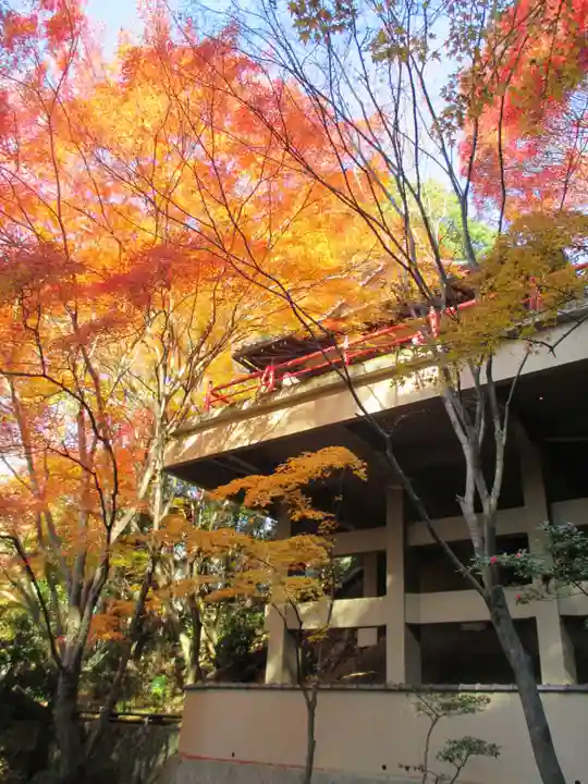 今熊野観音寺(京都府)