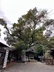 座間神社(神奈川県)